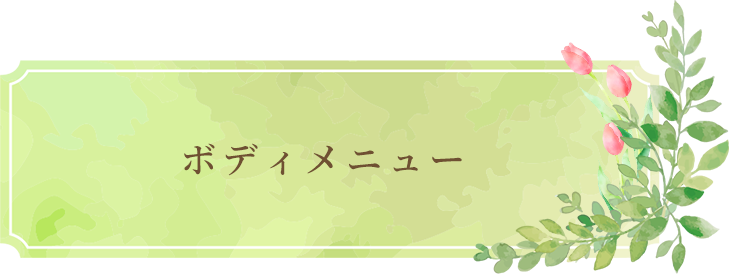 ボディメニュー